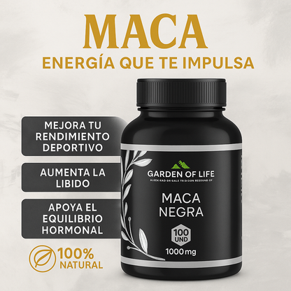 MACA NEGRA GARDEN OF LIFE ® POTENCIA TU VIDA 🍆🦾🔥