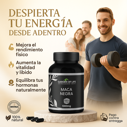 MACA NEGRA GARDEN OF LIFE ® POTENCIA TU VIDA 🍆🦾🔥